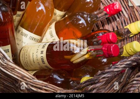 Honfleur Normandy 4 maggio 2013 : una selezione di sidri in un negozio a Honfleur Foto Stock