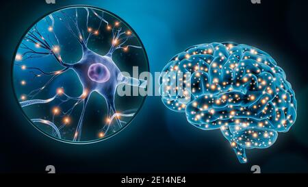 Stimolazione neuronale cerebrale umana o attività con il primo piano di una rappresentazione 3D di una cellula neuronica. Neuroscienze, neurologia, medicina, scienza, Foto Stock