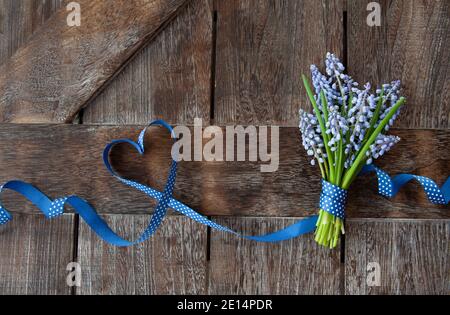 Mazzo di giacinti blu Foto Stock