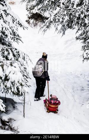 Montebello, Canada - 2 gennaio 2021: Madre tragga il suo bambino su una slitta in una foresta innevata nel parco Omega Foto Stock