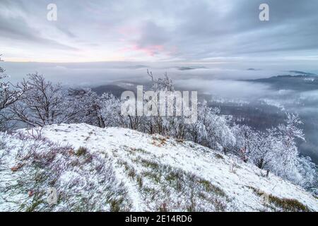 Splendido tramonto sul paesaggio invernale delle montagne. Surgelati alberi di rowan e spruces bianchi in una giornata innevata. Alba di Capodanno Foto Stock