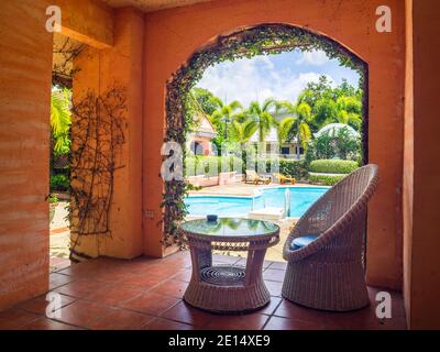 bel ramo verde di foglie d'edera sulla parete arancione del soggiorno interni ed esterni decorati Foto Stock