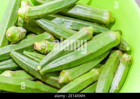 Ochra fresco, Bhindi o Ladies dita intere e senza cotti su uno sfondo azzurro chiaro Foto Stock