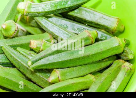 Ochra fresco, Bhindi o Ladies dita intere e senza cotti su uno sfondo azzurro chiaro Foto Stock