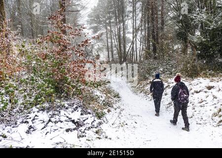 Le persone che si godono una passeggiata durante la neve che cade su un bosco di Cotswold su Painswick Beacon, Gloucestershire UK Foto Stock