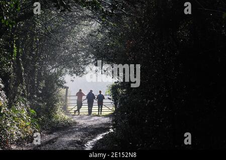 Tre escursionisti che si appoggiano su un cancello ammirando la vista attraverso i campi nel sole di prima mattina. Foto Stock