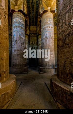 Sculture in pietra dipinte e geroglifici sul loto e la palma Colonne capitali del tempio di Hathor nel complesso del tempio di Dendera Foto Stock