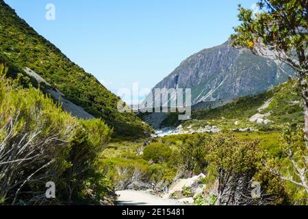 Mount Cook Nuova Zelanda - Febuary 16 2015; Hooker Valley pista che si snoda attraverso la vegetazione alpina tra i pendii di montagna con i turisti che si godono il wal Foto Stock