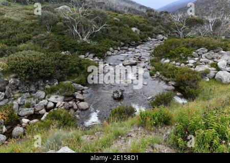 Una vista sul sentiero delle Cascades a Thredbo in Le montagne inneve Foto Stock