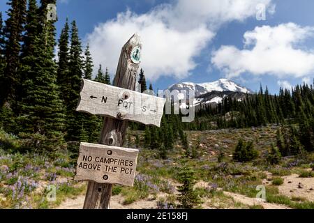 WA1720-00..... WASHINGTON - il Pacific Crest Trail (PCT) si interseca con il Trail 10 (High Camp Trail) e il Trail 113 (Killen Creek Trail) nel Mount ad Foto Stock