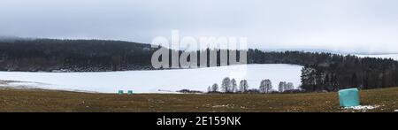 paesaggio invernale - campo nevoso e foresta, balla di paglia avvolto nel campo Foto Stock