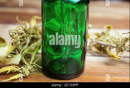 Macro primo piano di pipetta verde isolata contagocce cannabinolo medico bottiglia di olio cpd con germogli di cannabis essiccati su tavolo di legno) Foto Stock