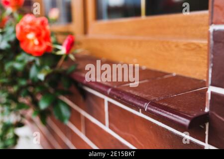 Piastrelle di ceramica marrone scuro per rifinire la facciata del casa - pavimento e pareti imitazione mattoni rossi - lucido smalto Foto Stock