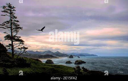 La costa dell'Oregon è panoramica con aquila calva Foto Stock