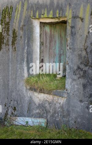 Isle of Lewis and Harris, Scozia: Finestra su una casa abbandonata croft con pareti testurizzate Foto Stock