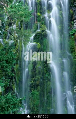 Proxy inferiore cade, tre sorelle deserto, Willamette National Forest, Oregon Foto Stock