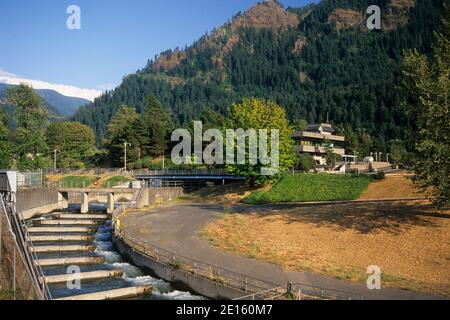 Bonneville Dam Visitor Center e pesce scaletta, Columbia River Gorge National Scenic Area, Oregon Foto Stock