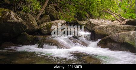 Great Smoky Mountains Waterfall Panorama. La foresta lussureggiante e il cristallino torrente montano precipita nel Parco Nazionale delle Great Smoky Mountains in Tennessee. Foto Stock