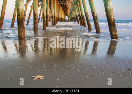 Molo di Myrtle Beach. Starfish sulla spiaggia con un lungo molo di legno sullo sfondo della costa dell'Oceano Atlantico a Myrtle Beach, Carolina del Sud, Stati Uniti. Foto Stock