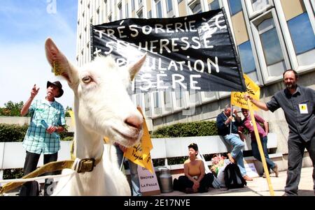 L'Unione degli agricoltori («Confederazione paysanne») dimostra con i caprini di fronte agli uffici d'imposizione a Lione, in Francia, il 17 giugno 2011, di ridurre le tasse a causa dell'aridità. Foto di Vincent Dargent/ABACAPRESS.COM Foto Stock