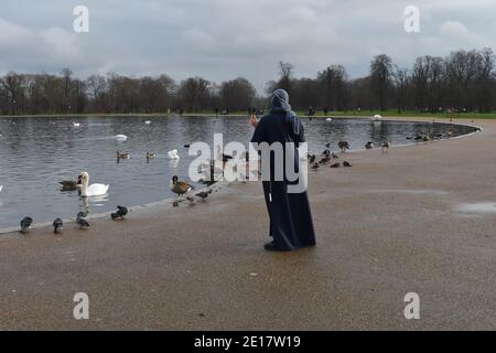 Donna araba con sciarpa di testa hijab che cammina per la rotonda stagno tra uccelli acquatici britannici Cigni muti Canada ed egiziano Piccioni di oche in un parco inglese Foto Stock