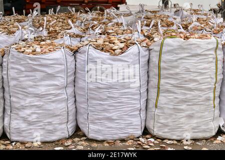 Sacchetti con guscio di cuoio capelluto vuoto per lavorazione zero rifiuti Foto Stock