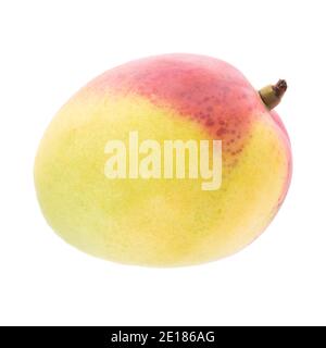 Frutto di mango isolato su sfondo bianco. Profondità di campo completa con tracciato di ritaglio Foto Stock