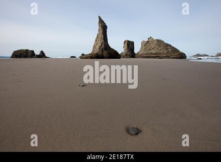 Cataste di mare a bassa marea, Bandon Beach, Oregon Coast, Stati Uniti Foto Stock