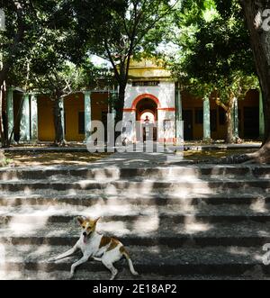 V o C Scuola superiore di Governo a Pondicherry, India. Foto Stock