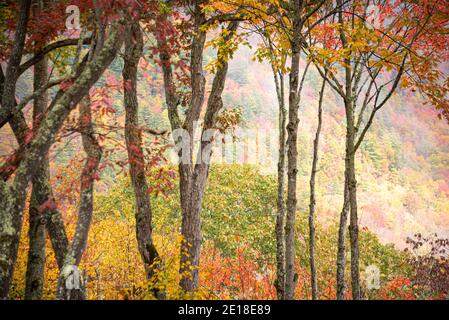 Splendida vista panoramica sulle montagne del fogliame autunnale nella Sapphire Valley, North Carolina, vicino a Cashiers. (STATI UNITI) Foto Stock