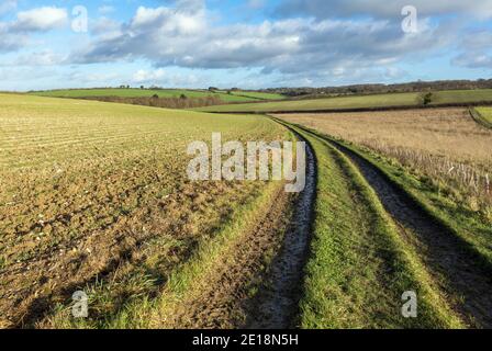 I sentieri della fattoria Muddy attraversano la campagna dell'Hampshire vicino a Horsebridge, Inghilterra, Regno Unito Foto Stock
