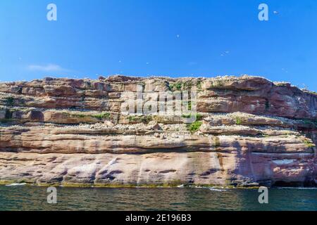 Vista di scogliere e gli uccelli in Bonaventura isola vicino Perce, sulla punta della penisola di Gaspe, Quebec, Canada Foto Stock