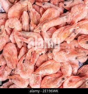 gamberetti congelati. Sfondo di gamberetti grezzi. Mucchio di gamberetti surgelati su sfondo bianco. Primo piano di gamberi surgelati. Gamberi e ghiaccio. Vista dall'alto. Immagine quadrata Foto Stock