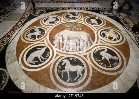 Italia, Toscana: Siena. Tiling della Cattedrale di Santa Maria Assunta (Duomo di Siena). Pavimento in marmo a mosaico che rappresenta la lupa di Siena che alimenta se Foto Stock