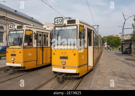 Budapest, Ungheria - 25 agosto 2019: Vecchi tram gialli a Budapest. Trasporti pubblici a Budapest Foto Stock