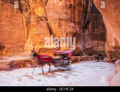 Petra, Giordania. Carrozza trainata da cavalli utilizzata per trasportare i turisti al Tesoro attraverso il canyon del Siq. Foto Stock
