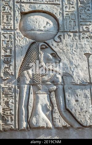 Questo è il bassorilievo roccia intagliato del Dio leone Sekhmet al tempio 180-47 AC di Kom Ombo vicino al fiume Nilo dedicato a Sobek il Dio coccodrillo e Horus il Dio falco testa, famoso per i suoi decorati pannelli in rilievo di pietra scolpita, opere d'arte e geroglifici storia raccontare. Foto Stock