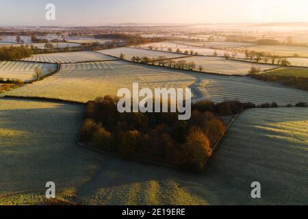 Foto aerea del drone della campagna rurale paesaggio con alberi di autunno arancio e campi verdi in campagna su una fattoria con tipici bei boschi inglesi nelle Cotswolds in bella luce solare alba, Inghilterra, Regno Unito Foto Stock