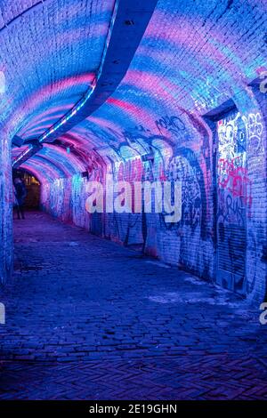 Utrecht Olanda Gennaio 2021, colorato tunnel Ganzemarkt illuminato di colore verde, blu, rosa nel centro di Utrecht, Paesi Bassi Foto Stock