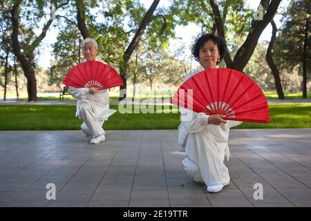 Due persone anziane che fanno esercizi mattutini nel parco alto foto di qualità Foto Stock