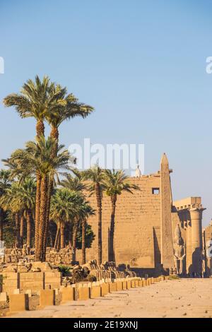 Egitto, Luxor, Viale di Spinxes che conduce all'entrata del Tempio di Luxor Foto Stock