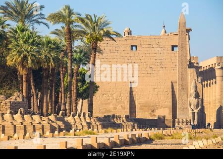 Egitto, Luxor, Viale di Spinxes che conduce all'entrata del Tempio di Luxor Foto Stock