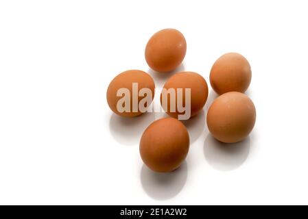 uova isolate su sfondo bianco, sei uova di pollo marroni, mezza dozzina nella vista dall'alto, spazio di testo Foto Stock