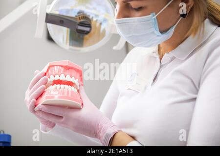 Scatto corto del dentista femminile che indossa la maschera medica che tiene dentale modello Foto Stock