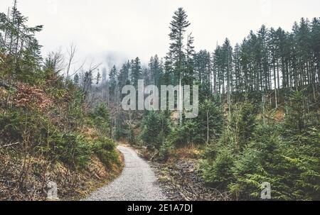 Tatra montagna paesaggio in una giornata piovosa, colore tonalità applicato, Polonia. Foto Stock