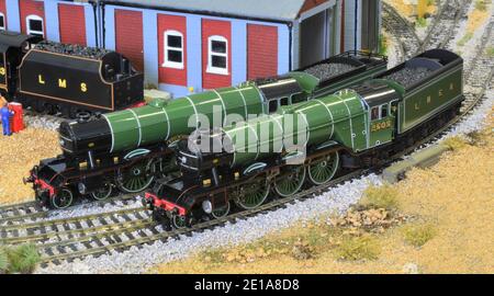 Firdaussi e Woolwinder due locomotive A3 Foto Stock