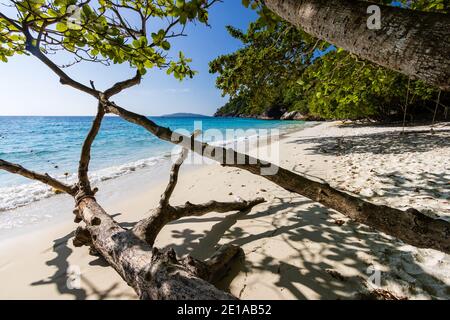 Bellissima spiaggia di sabbia su un'isola tropicale (Isole Similan, Thailandia). Foto Stock