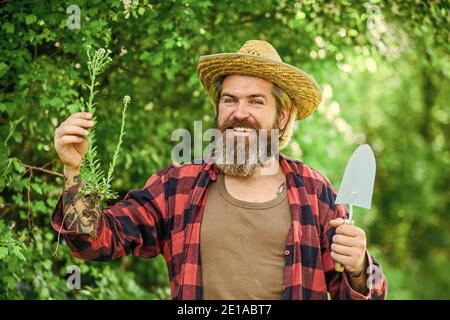 lavoratore botanico. Cazzuola scavando suolo. Attrezzi di giardino. Semi e suolo. Primavera in giardino. Coltivatore che dà fertilizzante. Il giardiniere scavando in giardino. Lavoro con il giardiniere dell'uomo maturo. Foto Stock