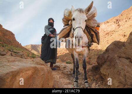 Todra Gorge, Marocco - 5 dicembre 2015: Una donna berbera e il suo mule pacchetto nelle colline della Gola di Todra, che è una serie di canyon di fiume di calcare Foto Stock