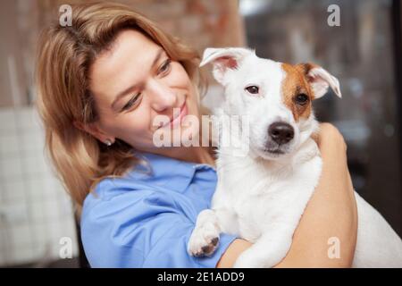 Affascinante veterinario maturo sorridente, coccolare con simpatico jack russel terrier cucciolo. Adorabile canino sano nelle mani di un veterinario professionale Foto Stock